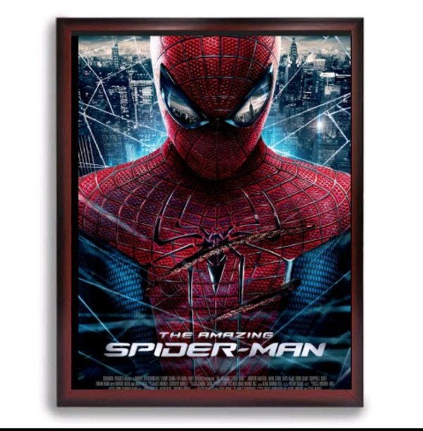 Spider Man Frame
