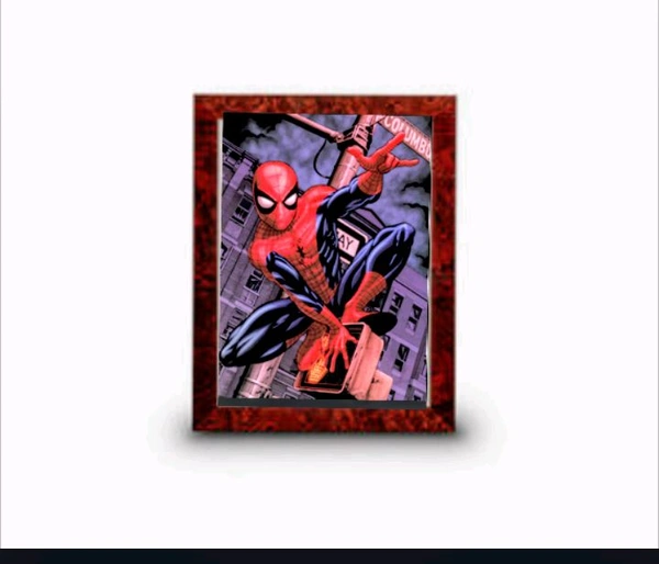 Spider Man Frame