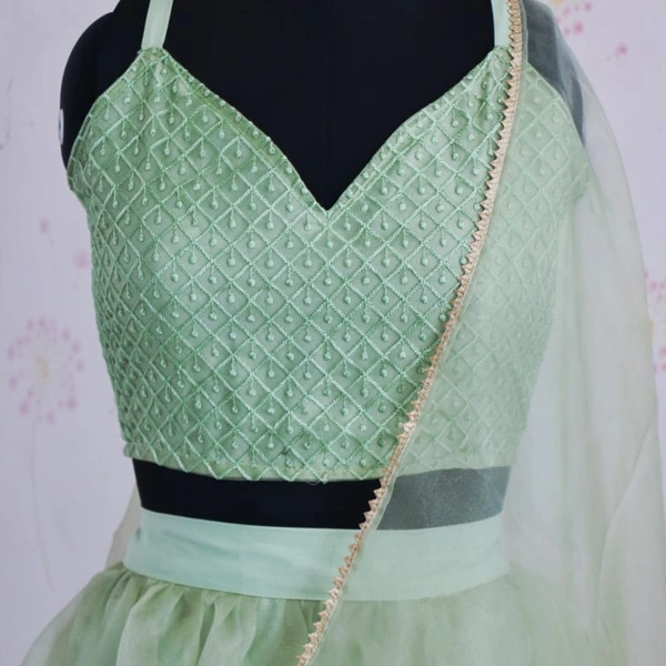 Ethnic Green Lehenga 