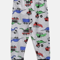 Elegant Nightsuits - Dino, 1-2 years