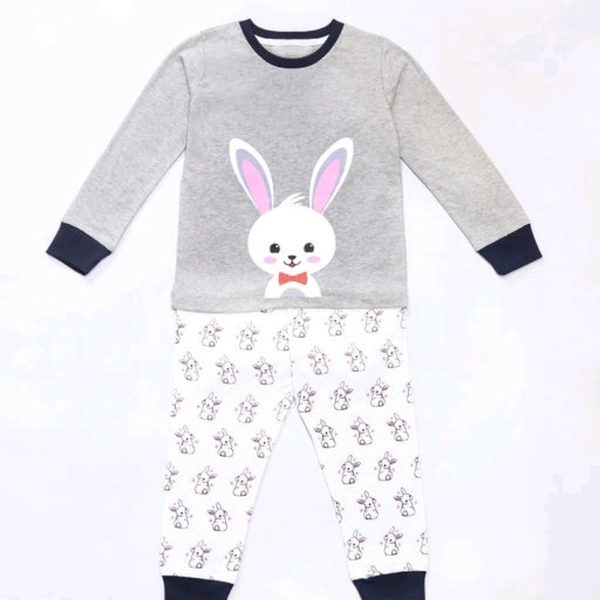 Cute Comfy Kids  Nightsuits / Nightdress - 2-3 years