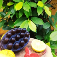 Lemon Massage Bar Soap - ONLINE PAYMENT ONLY☑️☑️IF YOU CHOOSE CASH ON DELIVERY DURING CHECKOUT THE ORDER WILL BE CANCELLED
