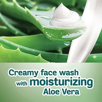 HIMALAYA ALOEVERA FACEWASH - 100ML, NA, NA
