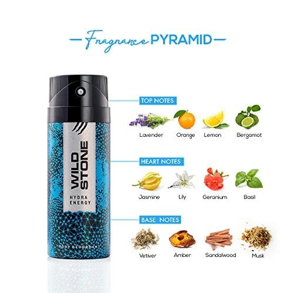 WILD STONE BODY DEODORANT - 150ML, NA, NA