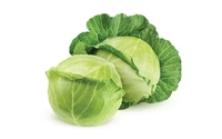 0 Cabbage - 1 Kg, NA, NA