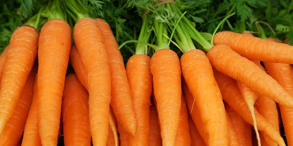 0 Carrot - 1 Kg, NA, NA