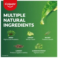 COLGATE Colgate salt Neem - 100g, NA, NA