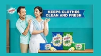 WHEEL DETERGENT POWDER - 500G, NA, NA