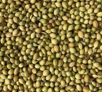 Local Dhaniya Loose - 500g, NA, NA