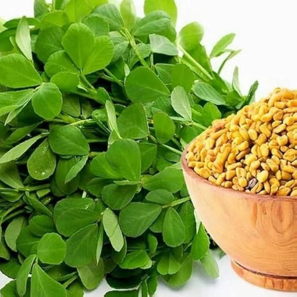 0 Fenugreek - 1 Kg, NA, NA
