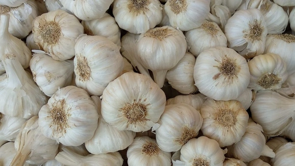 0 Garlic - 1 Kg, NA, NA