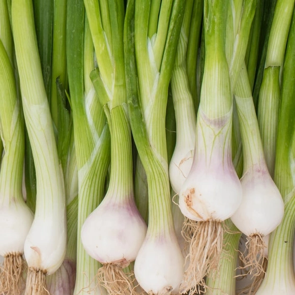 0 Green Onion - 1 Kg, NA, NA