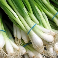 0 Green Onion - 1 Kg, NA, NA