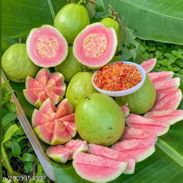0 Guava - 1 Kg, NA, NA