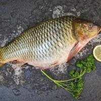 0 Fish - 1 Kg, NA, NA