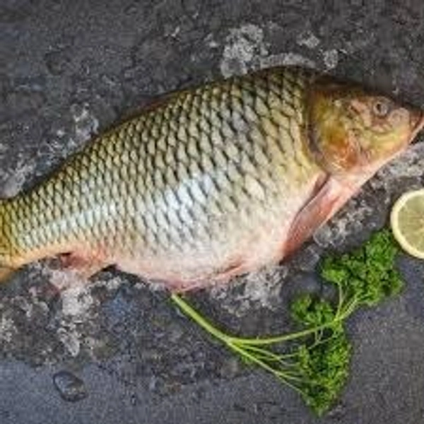 0 Fish - 1 Kg, NA, NA