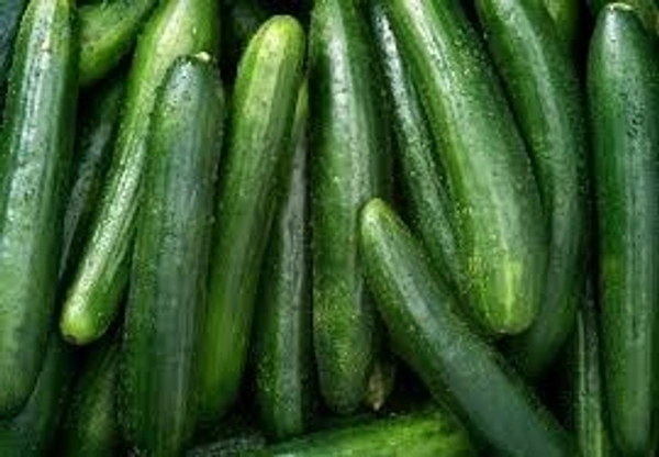 0 Cucumber - 1 Kg, NA, NA