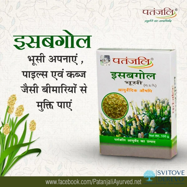 Patanjali Isabgol Husk - 100g, NA, NA