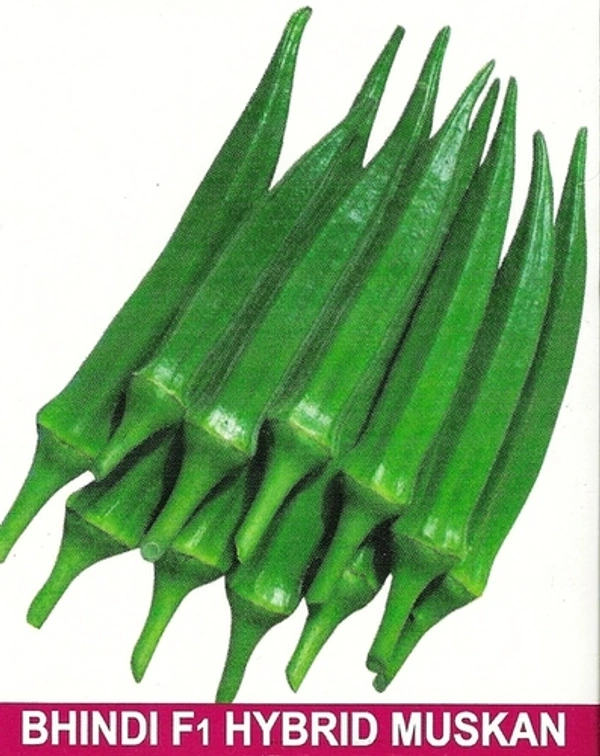0 Lady finger - 1 Kg, NA, NA