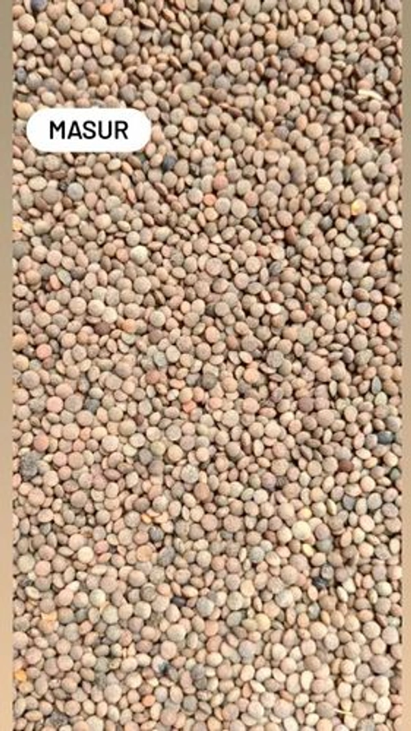 Local packed Masur dal khada - 1kg, NA, NA