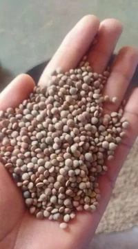 Local packed Masur dal khada - 1kg, NA, NA