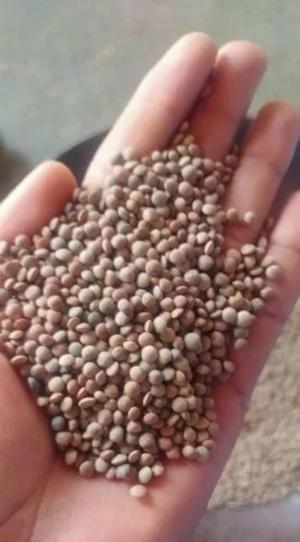 Local packed Masur dal khada - 1kg, NA, NA