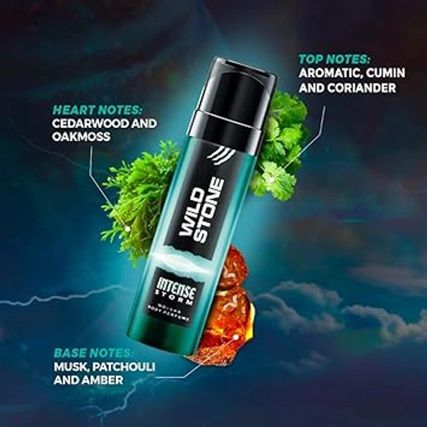 WILD STONE NO GAS BODY PERFUME - 120ML, NA, NA