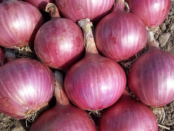 0 Onion - 1 Kg, NA, NA