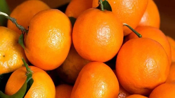0 Orange - 1 Kg, NA, NA