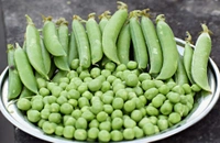 0 Peas - 1 Kg, NA, NA