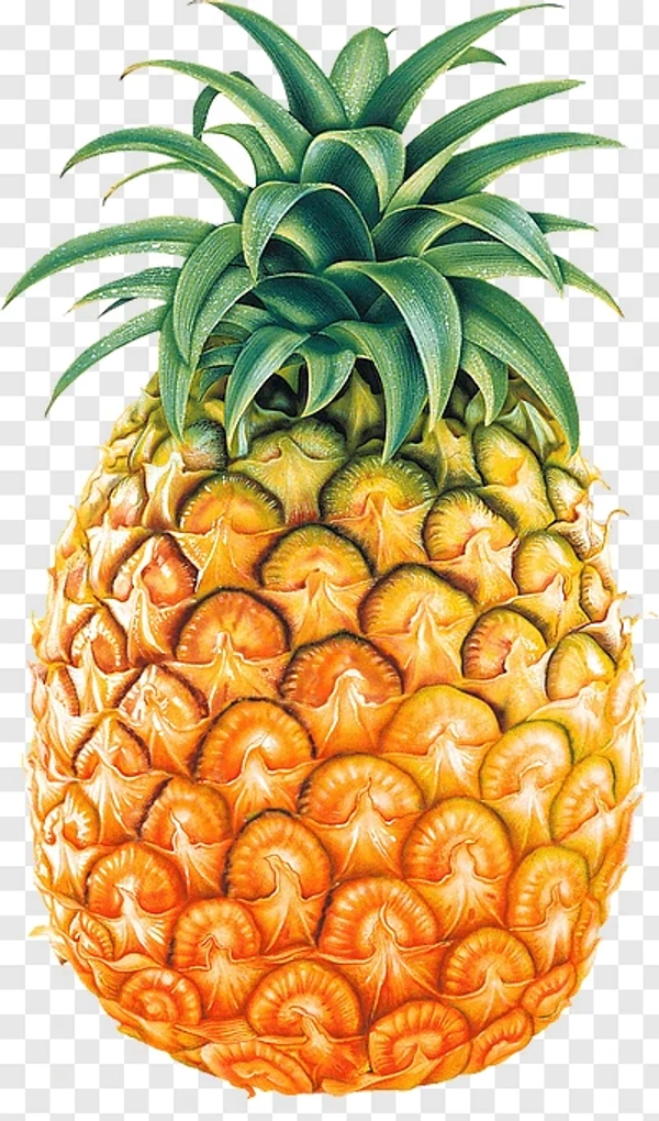 0 Pineapple - 1 Kg, NA, NA