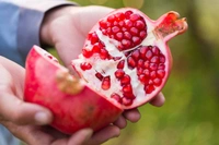 0 Pomegranate - 1 Kg, NA, NA