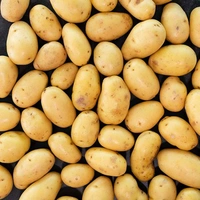 0 Potato - 1 Kg, NA, NA