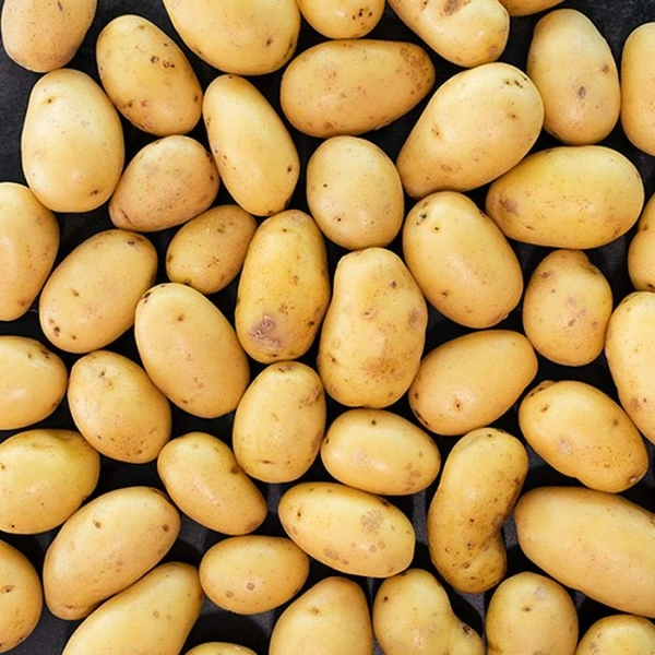 0 Potato - 1 Kg, NA, NA