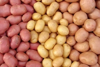 0 Potato - 1 Kg, NA, NA