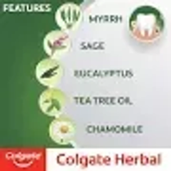 COLGATE HERBAL - 100G, NA, NA