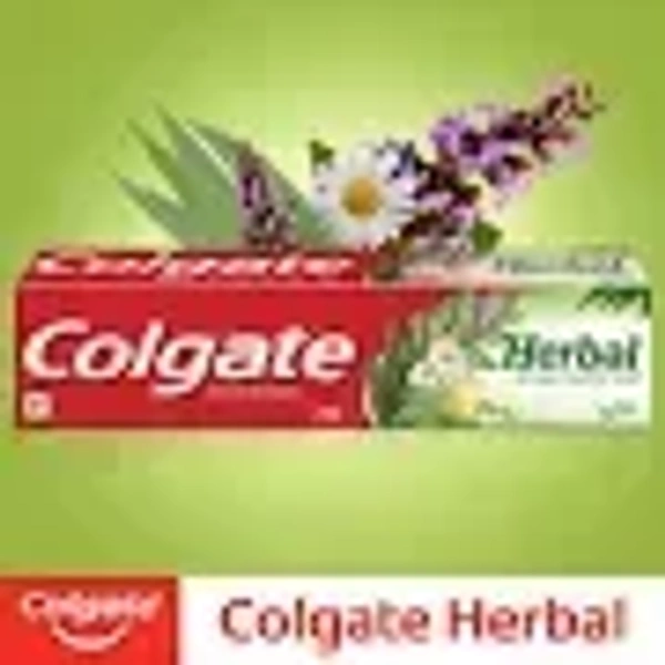 COLGATE HERBAL - 100G, NA, NA