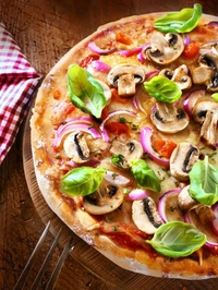 Onion Cheese Pizza - Large