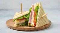 Veg Grill Sandwich 
