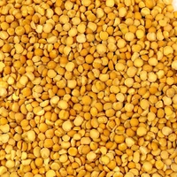 Pulses  - 1 Kg