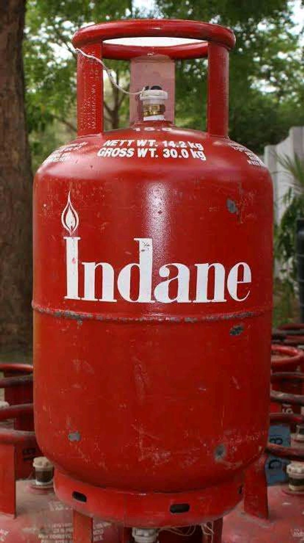 Indian Silander - Indian