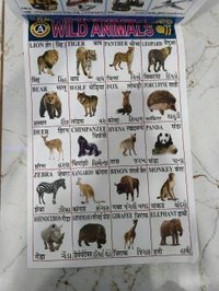 ઓલ ઈન વન ચાર્ટ કેલેન્ડર