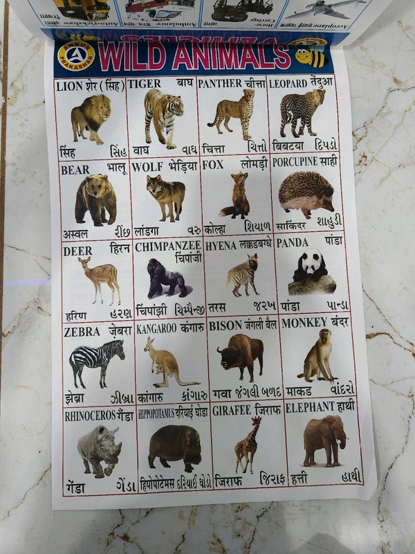 ઓલ ઈન વન ચાર્ટ કેલેન્ડર