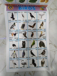 ઓલ ઈન વન ચાર્ટ કેલેન્ડર