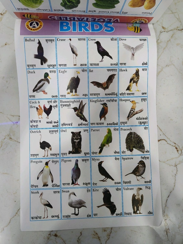 ઓલ ઈન વન ચાર્ટ કેલેન્ડર