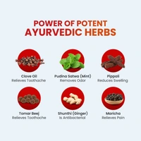 Dabur Red Gel Ayurvedic Toothpaste (150gx2) - 300g, Dabur