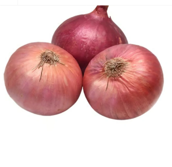 Onion / प्याज़ - 1Kg