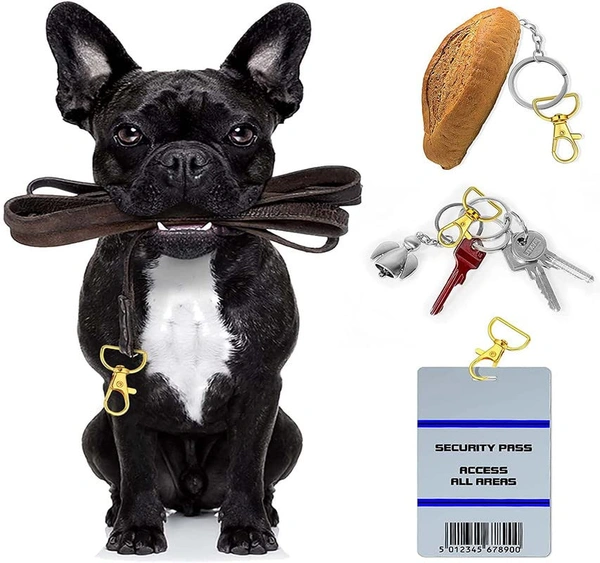 DIY Crafts Combo Pack 9 Pcs 3 Sets, Combo Assorted Kit, Keychain Bulk with Key Chain Swivel Hook D Rings and Sl(Combo Pack 9 Pcs 3 Sets, Combo Assorted Kit) - Combo Pack 9 Pcs 3 Sets, Combo Assorted Kit