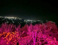 DARJEELING (12th Aug)- 5N/6D PRM