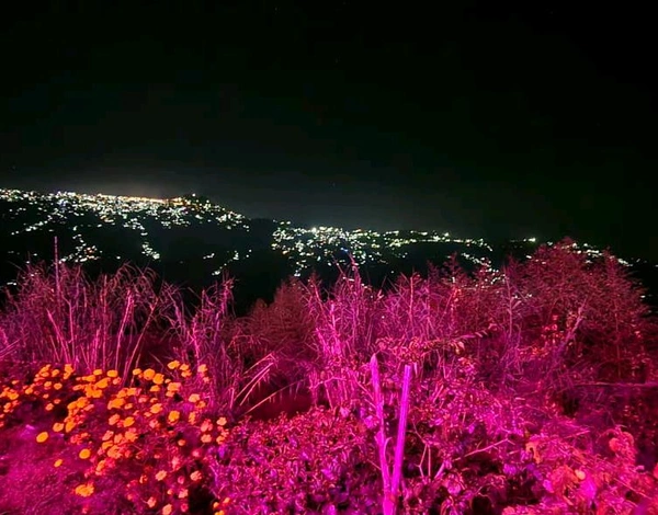 DARJEELING (12th Aug)- 5N/6D PRM